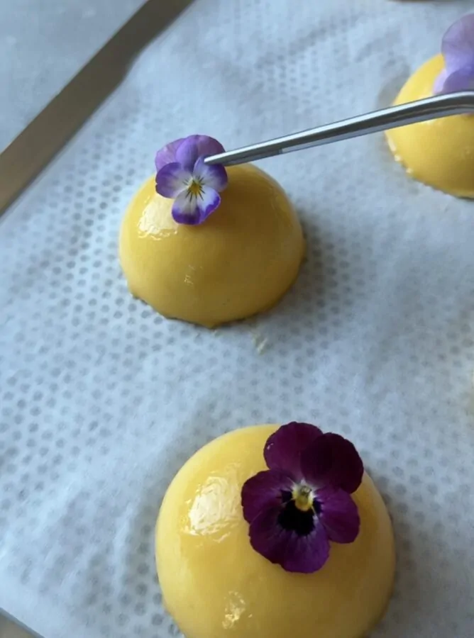 Påskdessert med mango och passion dekorerad med violer och penséer